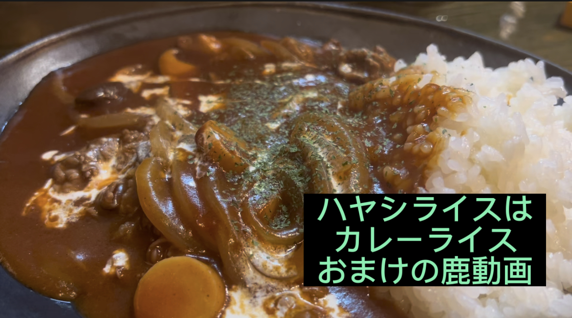 ハヤシライスはカレーライス　おまけ鹿動画