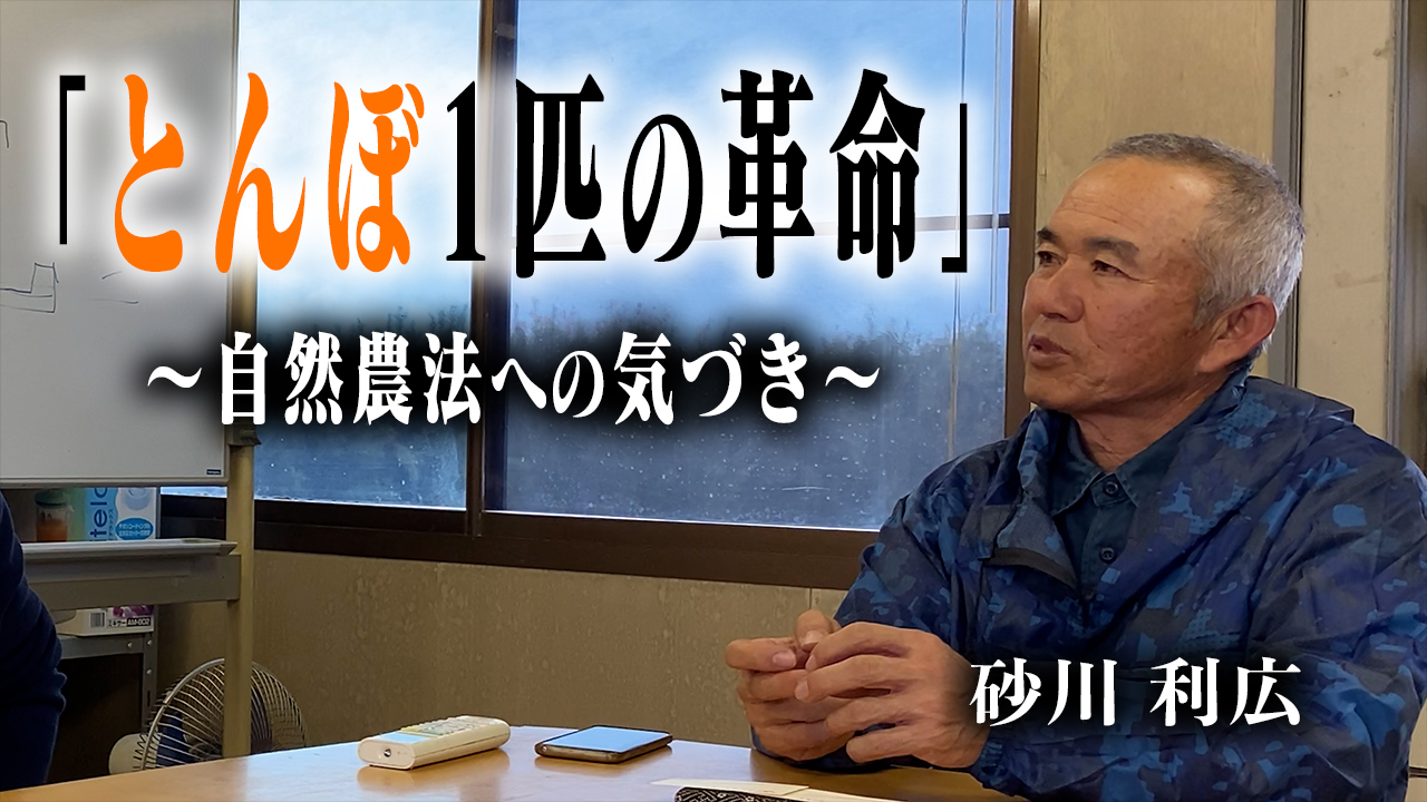 【勉強回】キャベツが失敗した理由と自然農法について聞いてきました！