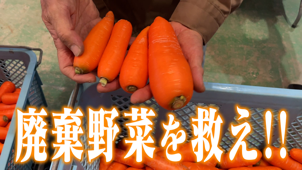 【食品ロス】農家の悩みの種！廃棄野菜を減らすには…