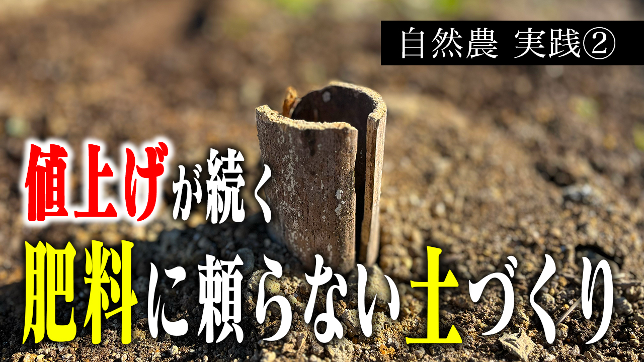 【自然農勉強】コスパ最強！どこにでもある「アレ」を使って、ふかふかの土づくり！
