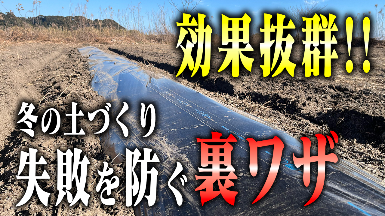 【必見】肥料いらず！３つのアイテムを使って、春にむけた土づくり！【視聴者リクエスト】