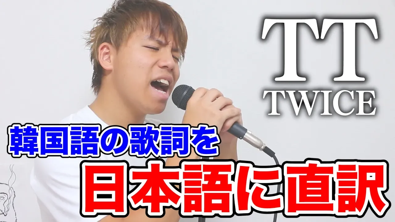 韓国語の歌詞をGoogle翻訳て?日本語に直訳して歌ってみたｗｗｗ【TT / TWICE】
