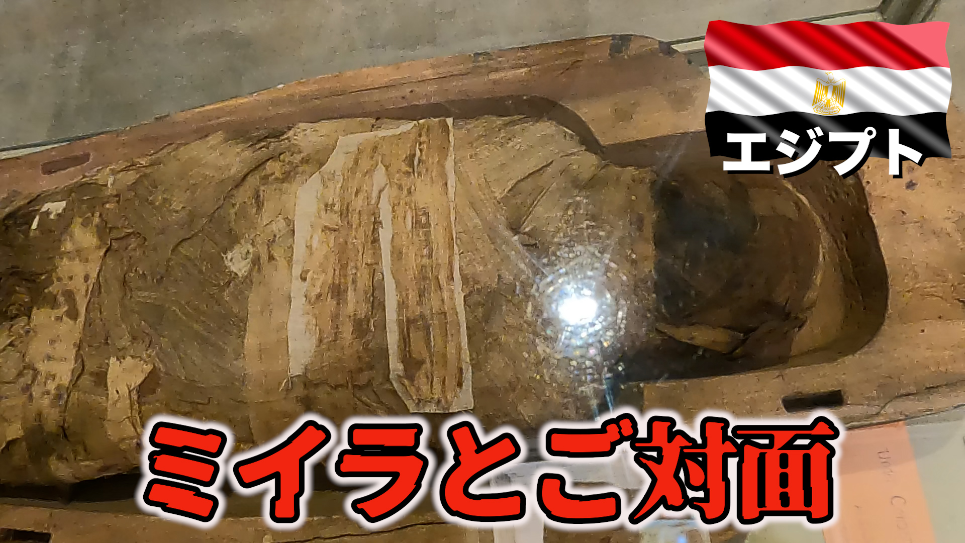 エジプト国立博物館へ。ミイラとのご対面 　エジプトの旅#15