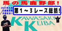 【競馬】競馬の解説や予想、競馬のイロハをわかりやすく説明を毎日投稿！今回は川崎競馬場で予想対決第１１弾2023.8！第１～３レース総括！