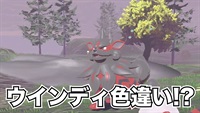 【ポケモン神話】ウインディの色違い！？レジェンズアルセウス解説