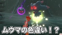 【ポケモン神話】ムウマの色違い！？レジェンズアルセウス解説