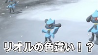 【ポケモン神話】リオルの色違い！？レジェンズアルセウス解説