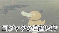 【ポケモン神話】コダックの色違い！？レジェンズアルセウス解説