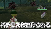 【ポケモン神話】色違いパチリスに逃げられる！？レジェンズアルセウス解説