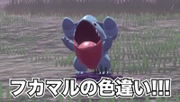 【ポケモン神話】フカマルの色違い！？レジェンズアルセウス解説