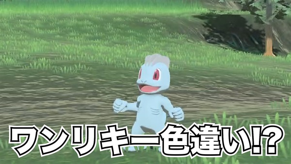 【ポケモン神話】ワンリキーの色違い！？レジェンズアルセウス解説