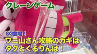 【クレーンゲーム】8/3登場！ワニ山さん攻略のカギはタグとくるりんぱ！