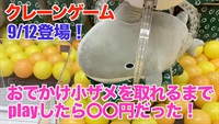 【クレーンゲーム】9/12登場！おでかけ小ザメを取れるまでplayしたら〇〇円だった！