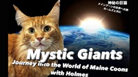 Mystic Giants Journey into the World of Maine Coons with Holmes神秘の巨猫 メインクーンの世界への旅 ホームズと共に