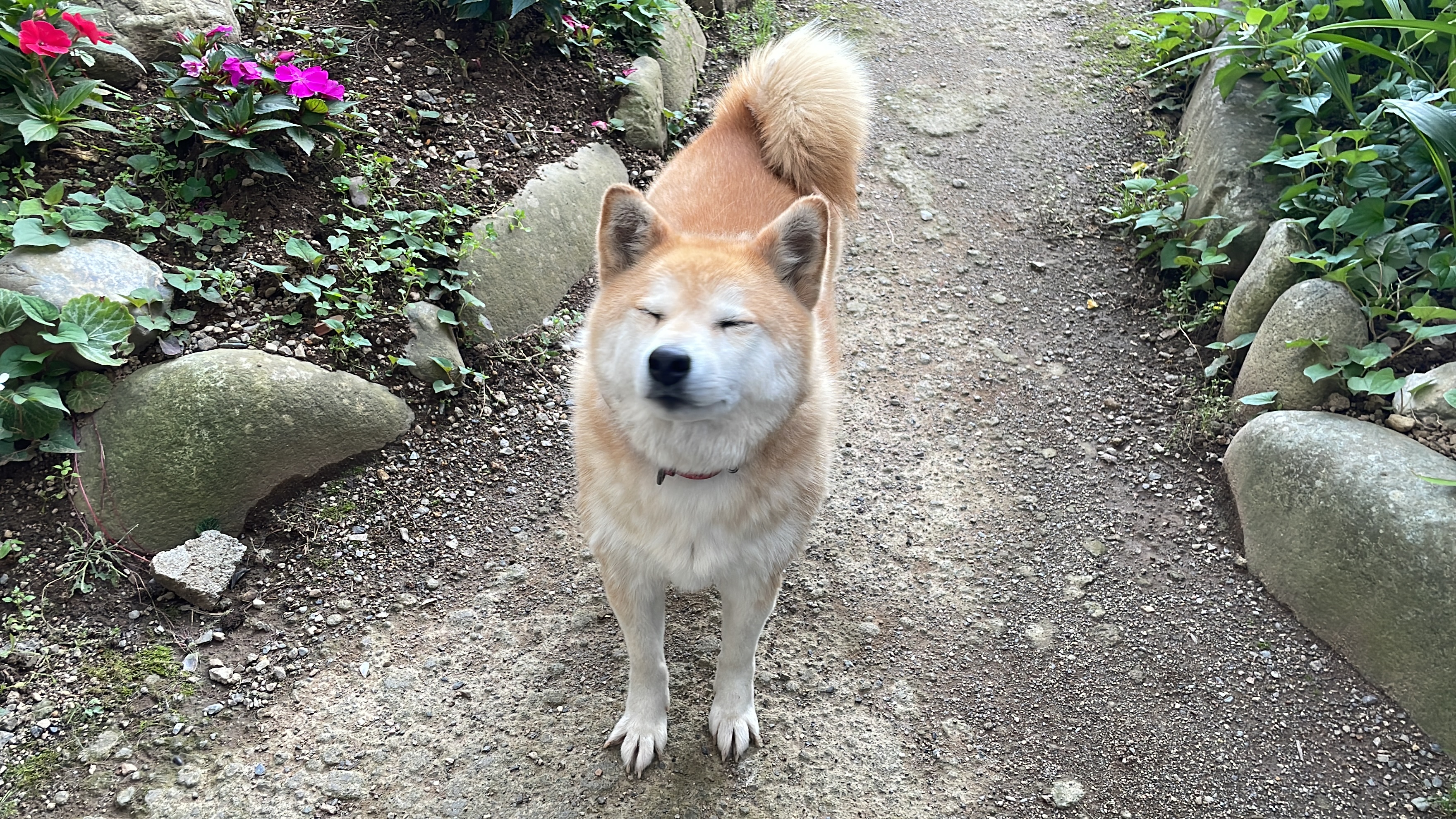 きなことの日常 part.1