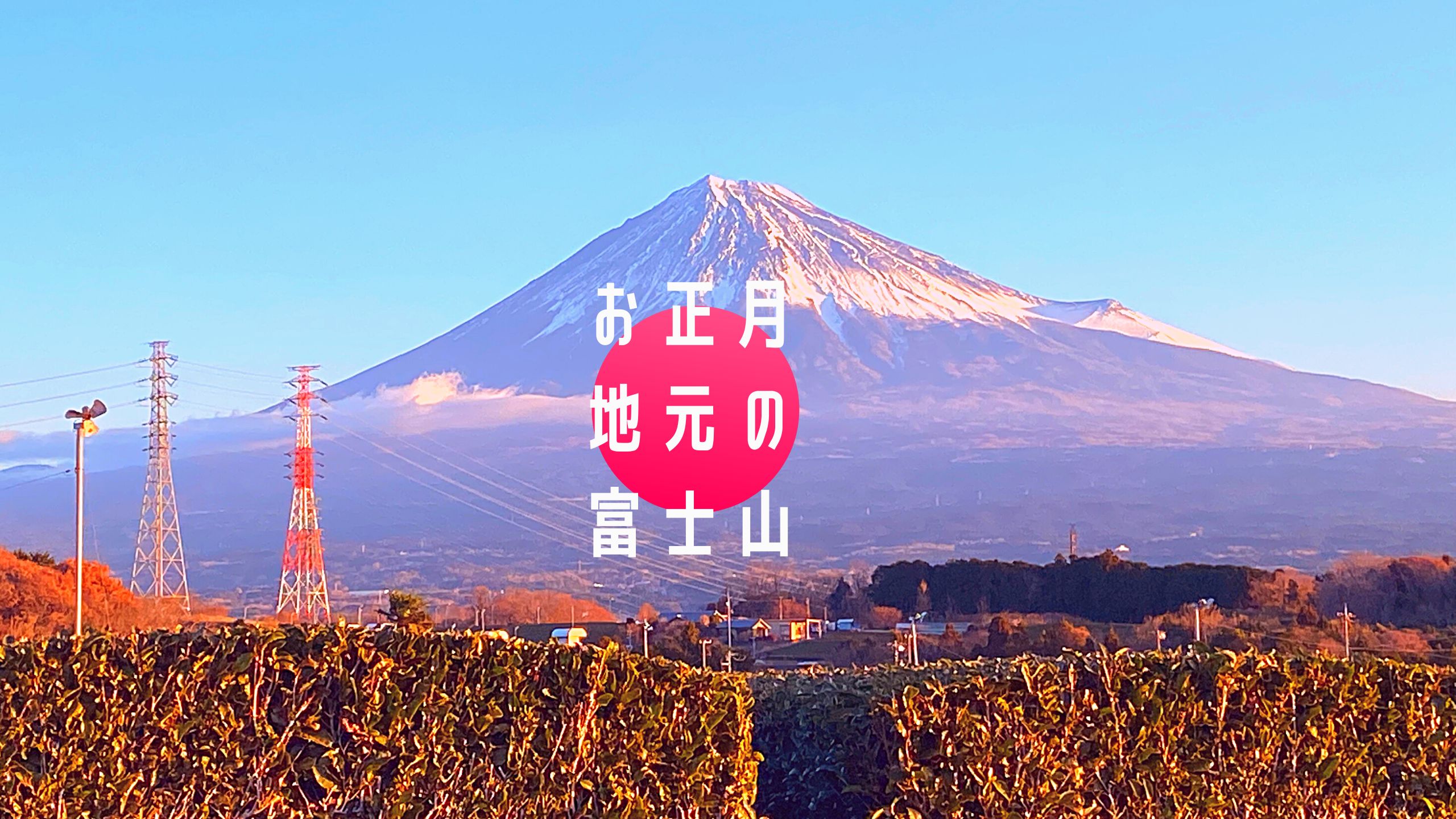 お正月、地元の富士山