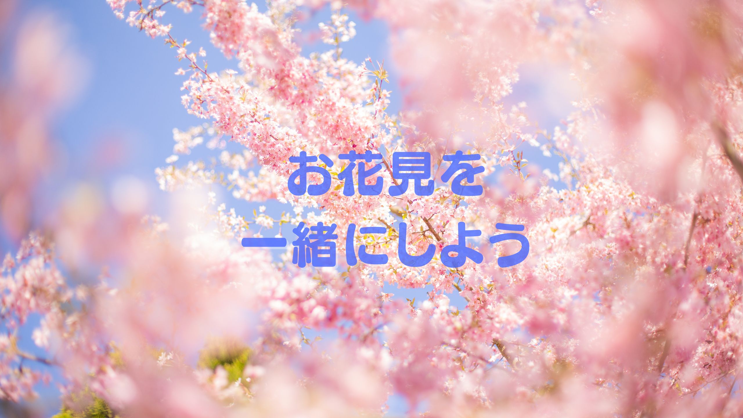 【風景】お花見