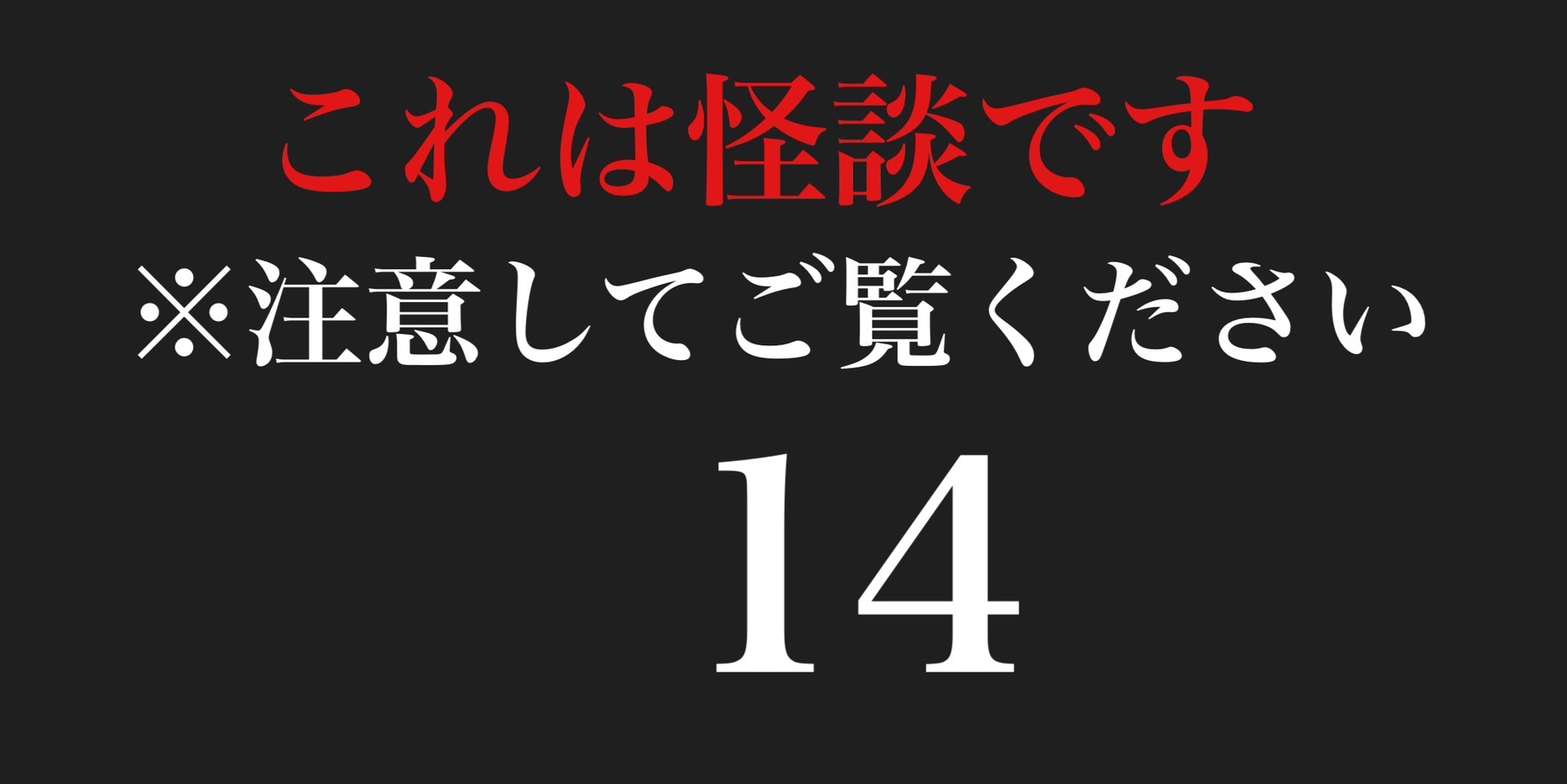 これは怪談です　※注意してご覧ください１４