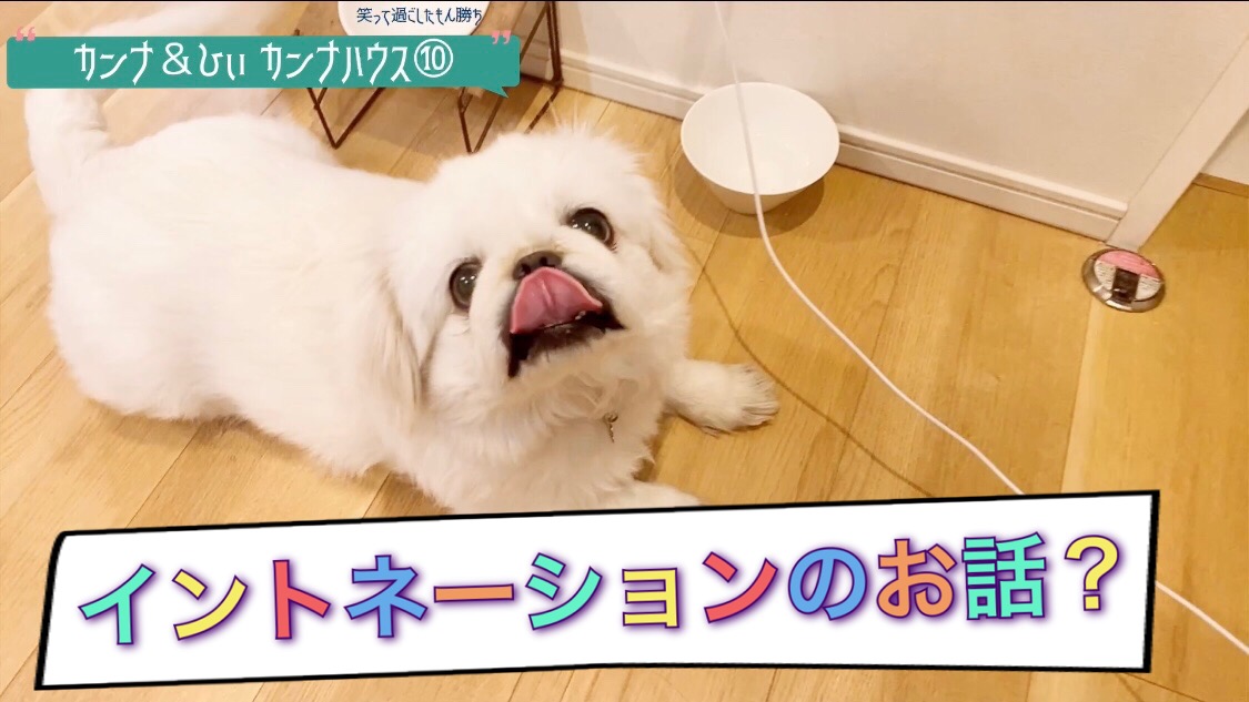 イントネーション！！