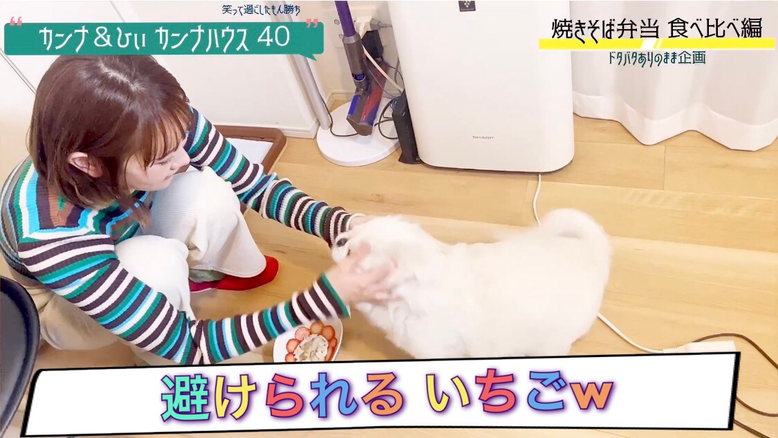 避けられるイチゴ、、、