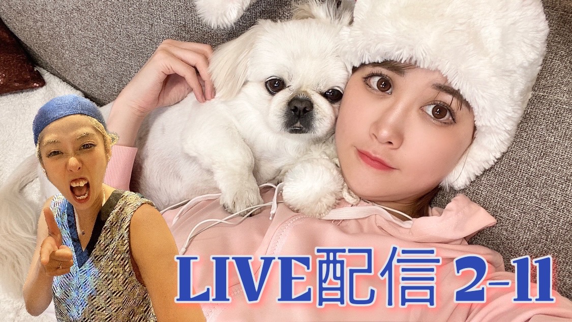 ひいかん生配信　２－１１