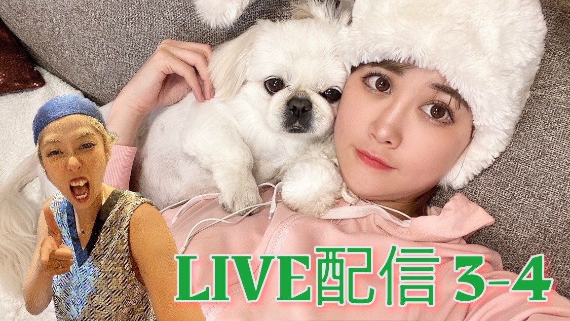ひいかん生配信　３－４