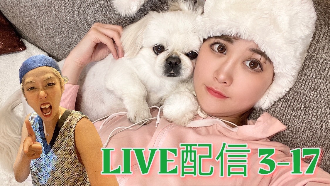 ひいかん生配信　３－１７