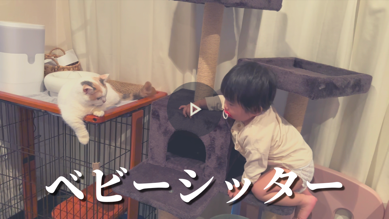 ベビーシッターな日1