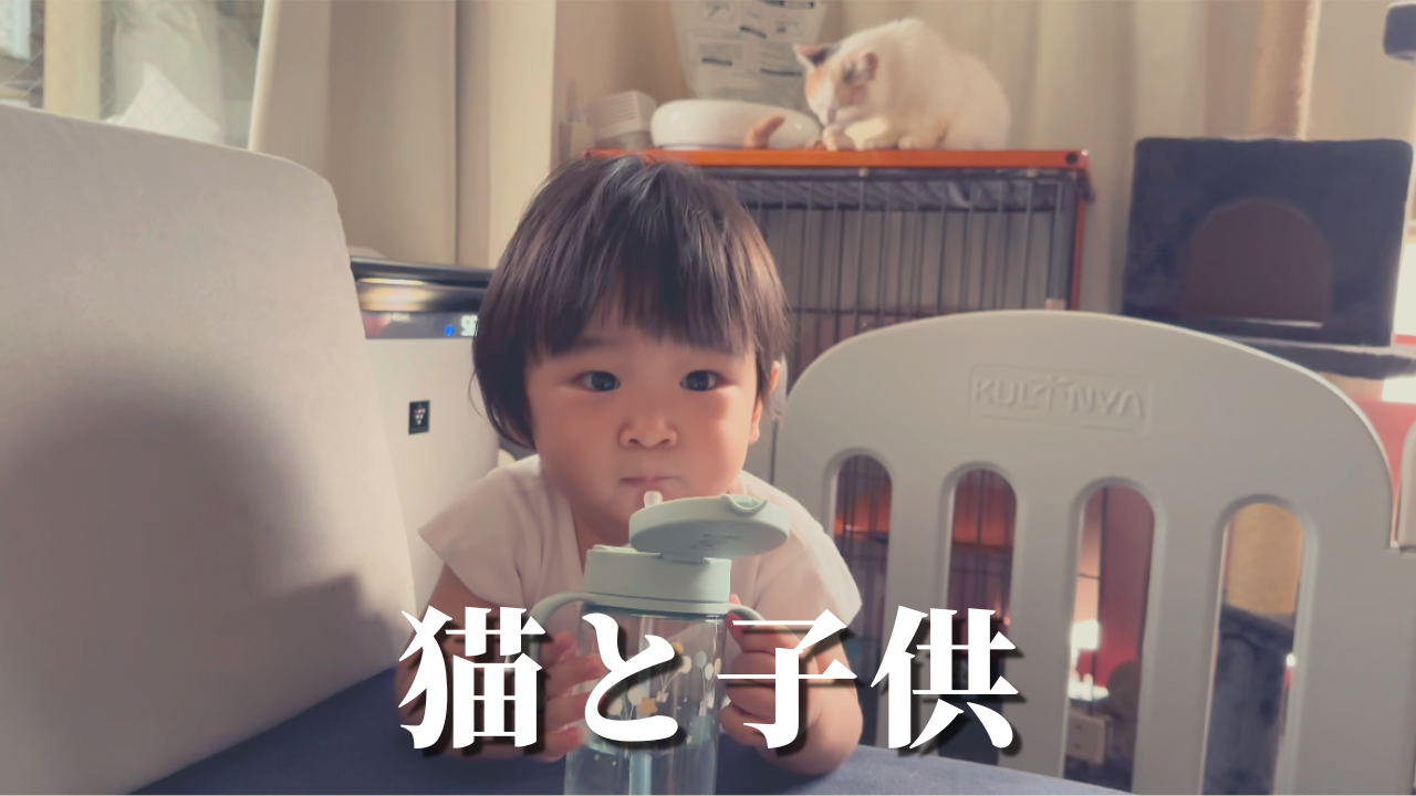 猫と子供