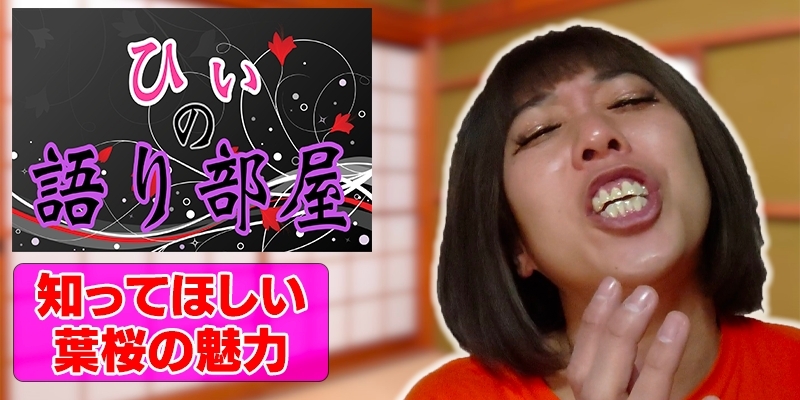 知ってほしい葉桜の魅力！！