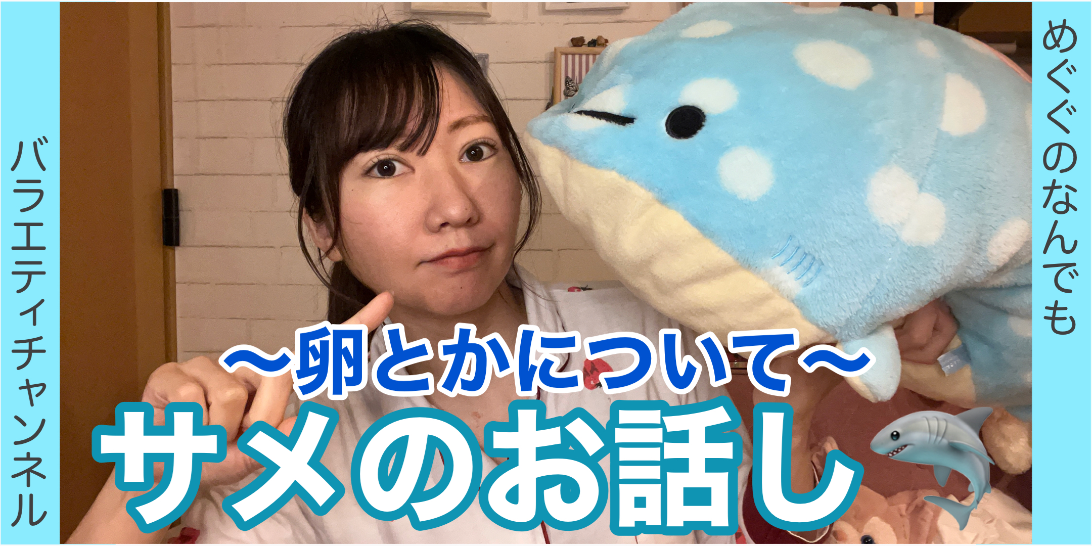 サメのお話し?卵とかについて?