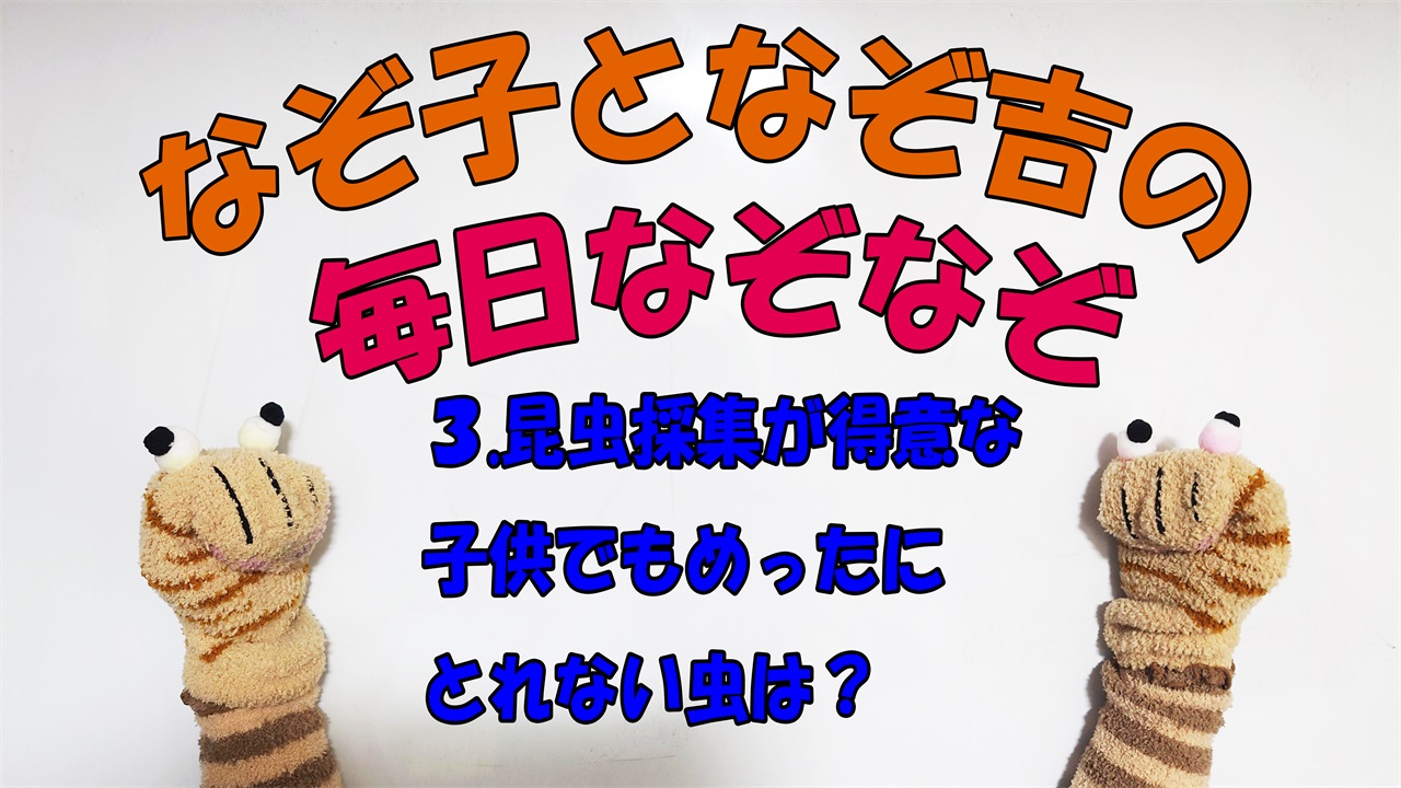 なぞ子となぞ吉の毎日なぞなぞ！昆虫採集が得意な子供でもなかなか取れない虫は？