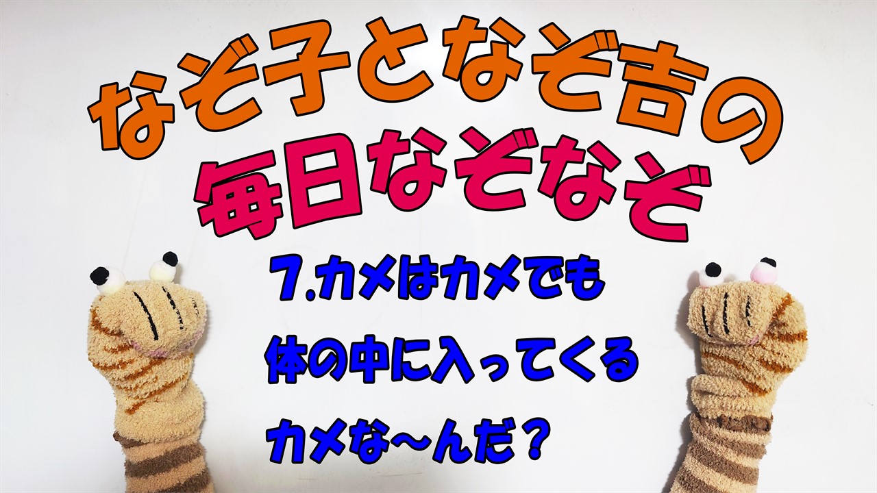 【なぞなぞ】なぞ子となぞ吉が毎日オリジナルなぞなぞを出題します！頭の体操！果たしてあなたは解けるのか！？第七問目！