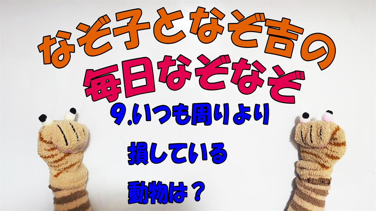 【なぞなぞ】なぞ子となぞ吉が毎日オリジナルなぞなぞを出題します！頭の体操！果たしてあなたは解けるのか！？第九問目！