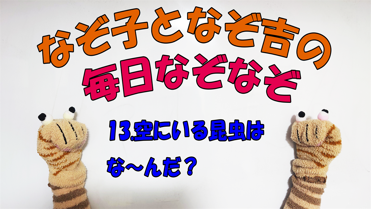 【なぞなぞ】なぞ子となぞ吉が毎日オリジナルなぞなぞを出題します！頭の体操！果たしてあなたは解けるのか！？第十三問目！