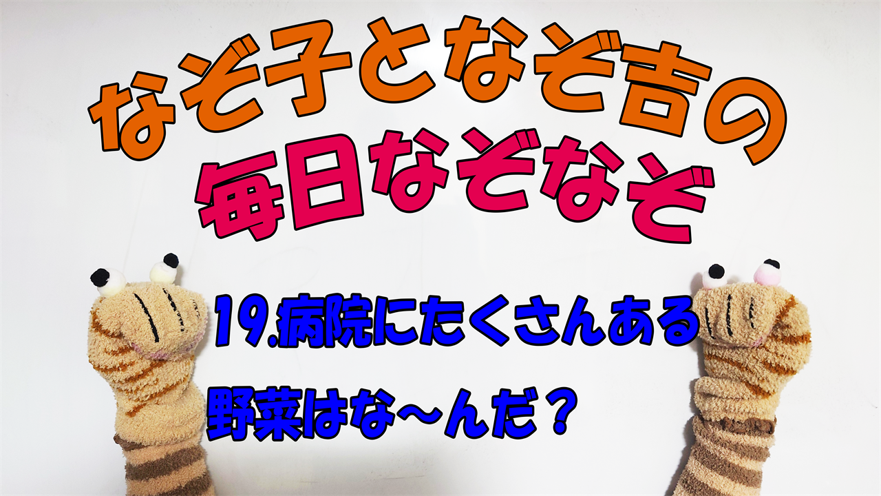 【なぞなぞ】なぞ子となぞ吉が毎日オリジナルなぞなぞを出題します！頭の体操！果たしてあなたは解けるのか！？第十九問目！