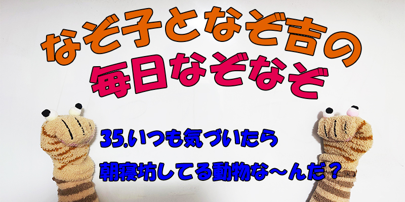 【なぞなぞ】なぞ子となぞ吉が毎日オリジナルなぞなぞを出題します！頭の体操！果たしてあなたは解けるのか！？第三十五問目！