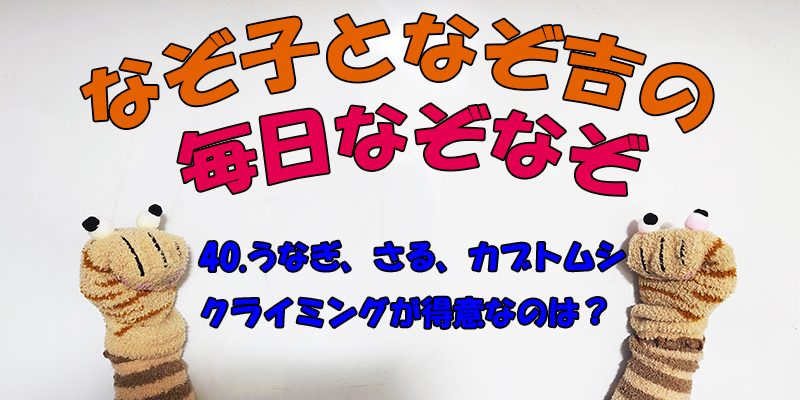 【なぞなぞ】なぞ子となぞ吉が毎日オリジナルなぞなぞを出題します！頭の体操！果たしてあなたは解けるのか！？第四十問目！