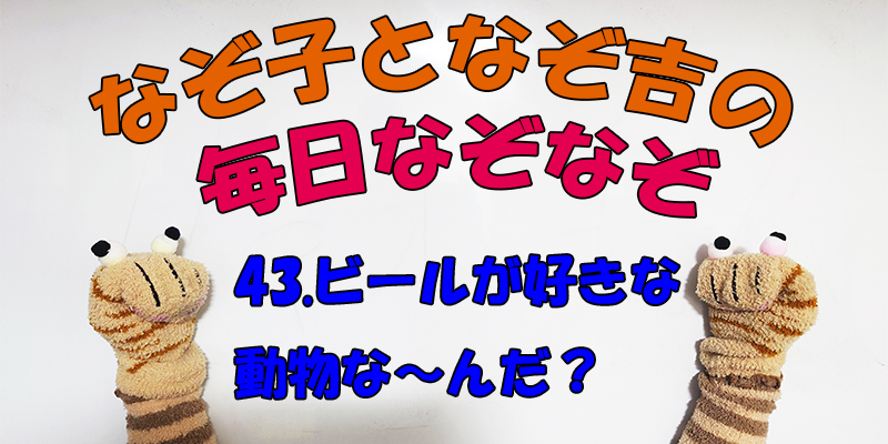 【なぞなぞ】なぞ子となぞ吉が毎日オリジナルなぞなぞを出題します！頭の体操！果たしてあなたは解けるのか！？第四十三問目！