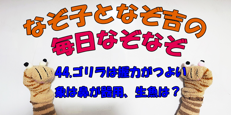 【なぞなぞ】なぞ子となぞ吉が毎日オリジナルなぞなぞを出題します！頭の体操！果たしてあなたは解けるのか！？第四十四問目！