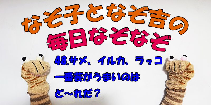 【なぞなぞ】なぞ子となぞ吉が毎日オリジナルなぞなぞを出題します！頭の体操！果たしてあなたは解けるのか！？第四十八問目！