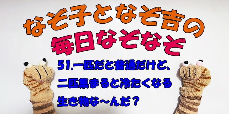 【なぞなぞ】なぞ子となぞ吉が毎日オリジナルなぞなぞを出題します！頭の体操！果たしてあなたは解けるのか！？第五十一問目！