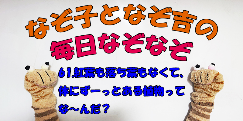 【なぞなぞ】なぞ子となぞ吉が毎日オリジナルなぞなぞを出題します！頭の体操！果たしてあなたは解けるのか！？第六十一問目！