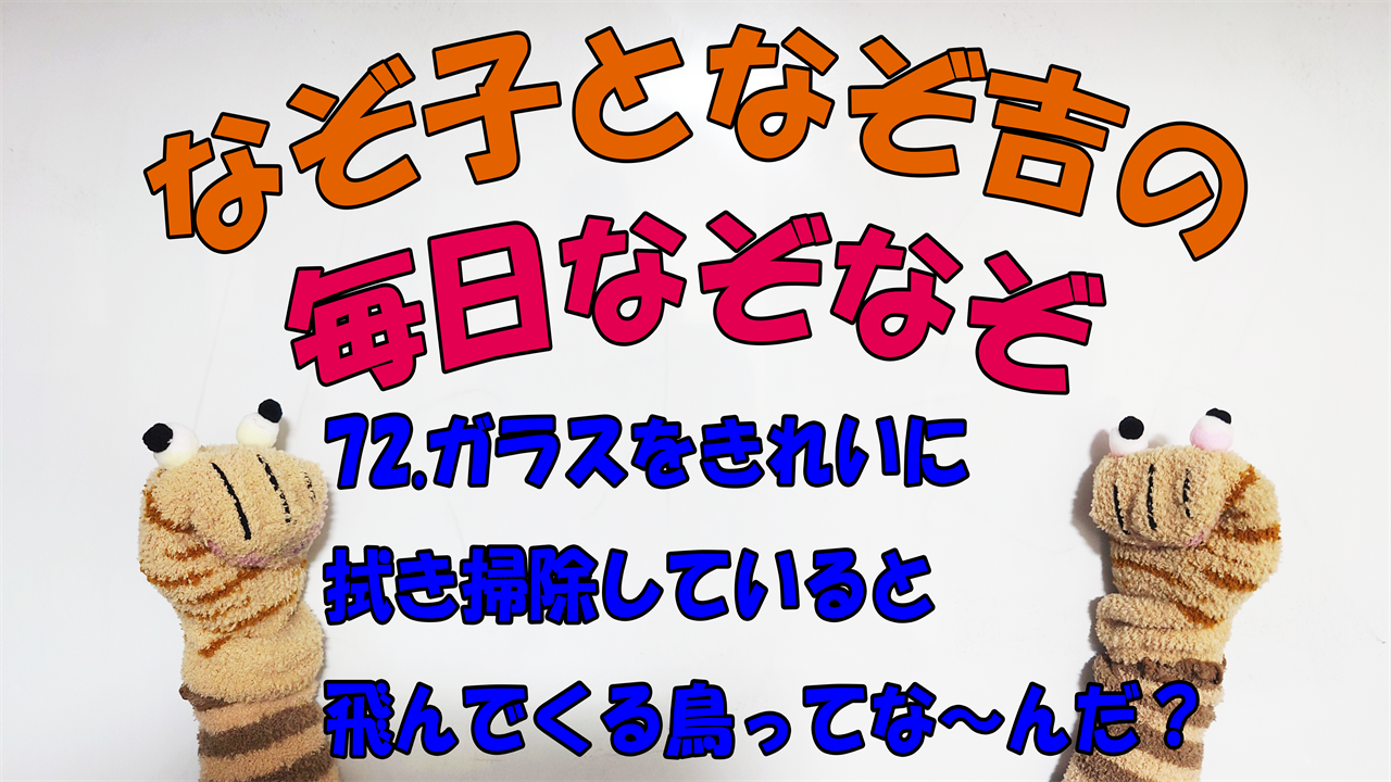 【なぞなぞ】なぞ子となぞ吉が毎日オリジナルなぞなぞを出題します！頭の体操！果たしてあなたは解けるのか！？第七十二問目！