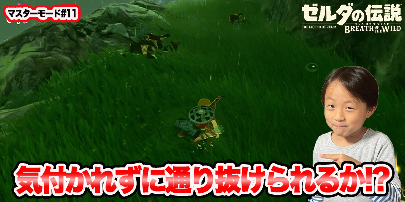 【ゼルダの伝説】ブレスオブザワイルド　マスターモード#11　｢気付かれずに通り抜けられるか!?｣　ゲーム攻略＃118