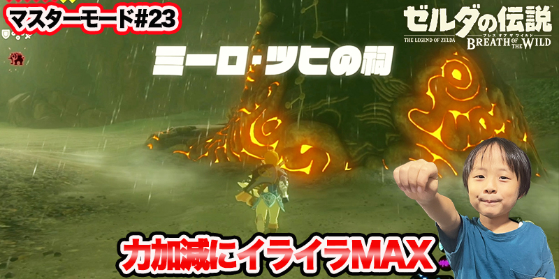 【ゼルダの伝説】ブレスオブザワイルド　マスターモード#23　｢力加減にイライラMAX｣　ゲーム攻略＃202