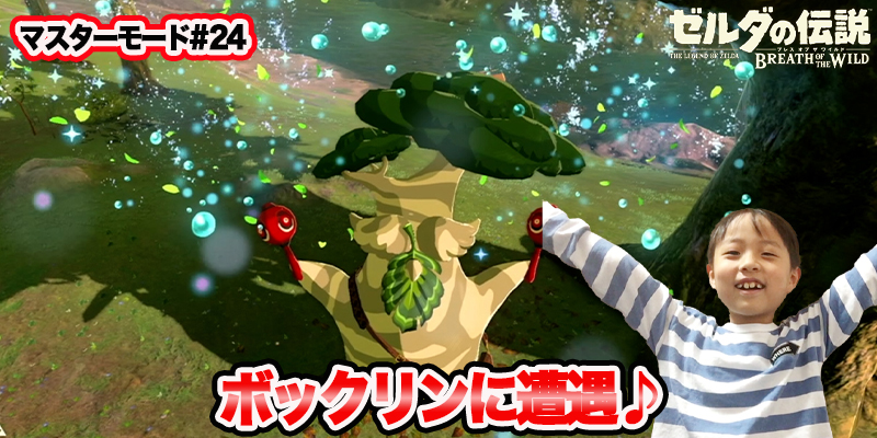 【ゼルダの伝説】ブレスオブザワイルド　マスターモード#24　｢ボックリんに遭遇♪｣　ゲーム攻略＃203