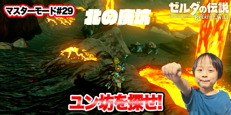 【ゼルダの伝説】ブレスオブザワイルド　マスターモード#29　｢ユン坊を探せ!｣　ゲーム攻略＃211