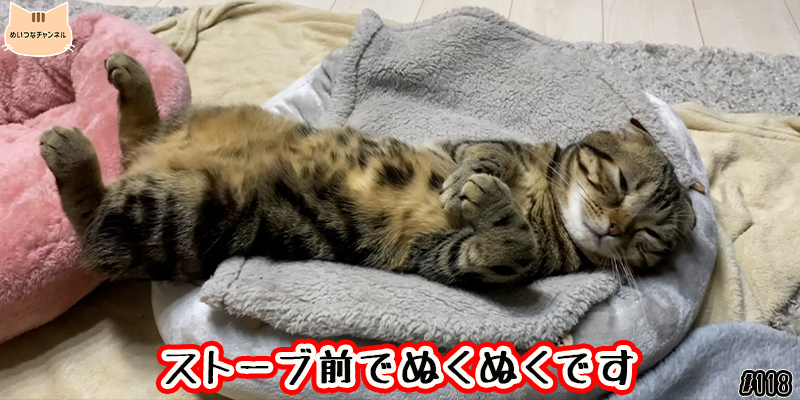 【ネコ】猫の癒しの日常 #118「ストーブ前でぬくぬくです」