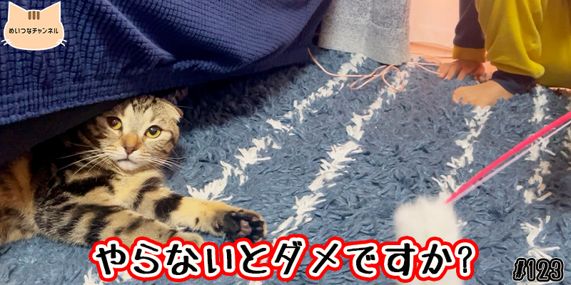 【ネコ】猫の癒しの日常 #100「やらないとダメですか？」